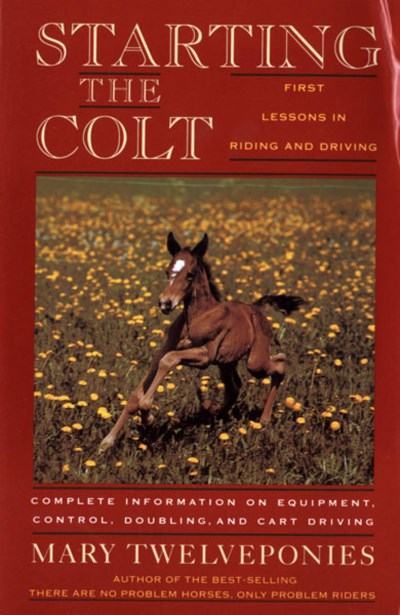 Mary Twelveponies/Starting the Colt